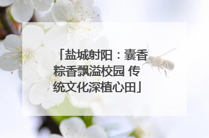 盐城射阳：囊香粽香飘溢校园 传统文化深植心田