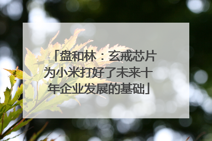 盘和林：玄戒芯片为小米打好了未来十年企业发展的基础