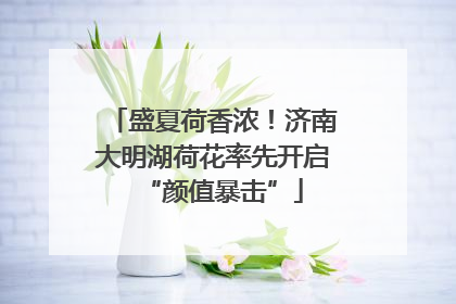 盛夏荷香浓！济南大明湖荷花率先开启“颜值暴击”