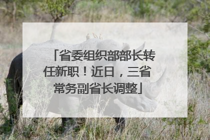 省委组织部部长转任新职！近日，三省常务副省长调整