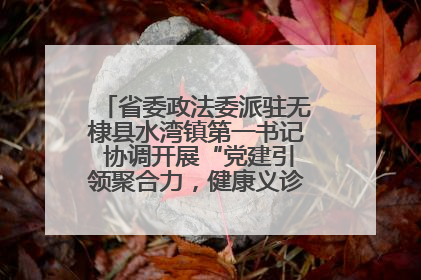省委政法委派驻无棣县水湾镇第一书记 协调开展“党建引领聚合力，健康义诊惠乡亲”义诊活动