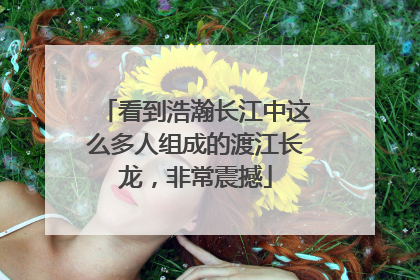 看到浩瀚长江中这么多人组成的渡江长龙，非常震撼
