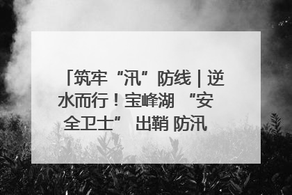 筑牢“汛”防线｜逆水而行！宝峰湖 “安全卫士” 出鞘 防汛应急再添硬核力量