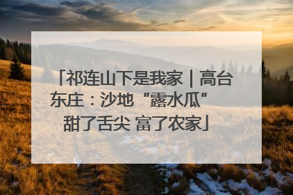 祁连山下是我家｜高台东庄：沙地“露水瓜” 甜了舌尖 富了农家