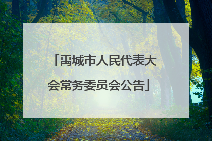 禹城市人民代表大会常务委员会公告