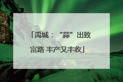 禹城：“蒜”出致富路 丰产又丰收