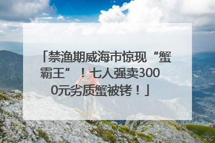 禁渔期威海市惊现“蟹霸王”！七人强卖3000元劣质蟹被铐！