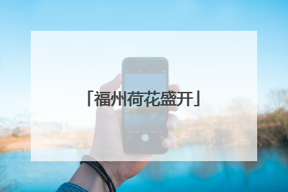 福州荷花盛开