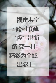 福建寿宁：跨村联建“蹚”出新路 变一村精彩为全域出彩