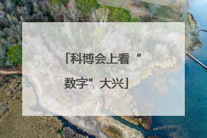 科博会上看“数字”大兴