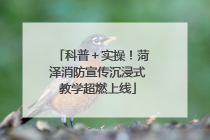 科普＋实操！菏泽消防宣传沉浸式教学超燃上线