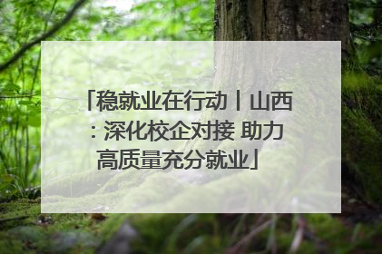 稳就业在行动丨山西：深化校企对接 助力高质量充分就业