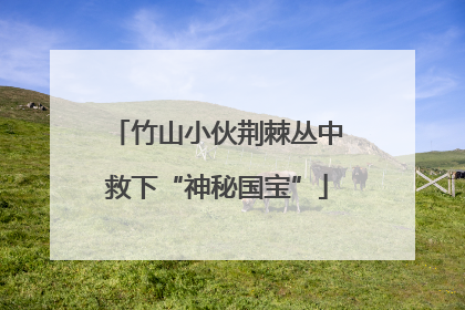 竹山小伙荆棘丛中救下“神秘国宝”