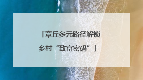 章丘多元路径解锁乡村“致富密码”