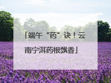 端午“药”诀！云南宁洱药根飘香