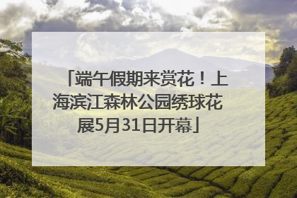 端午假期来赏花！上海滨江森林公园绣球花展5月31日开幕