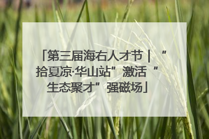 第三届海右人才节｜“拾夏凉·华山站”激活“生态聚才”强磁场