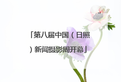 第八届中国（日照）新闻摄影周开幕