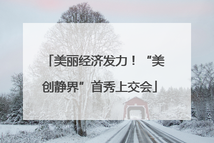 美丽经济发力！“美创静界”首秀上交会