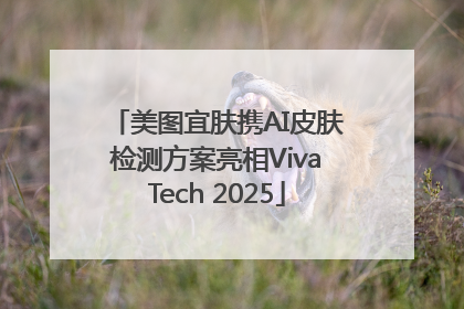美图宜肤携AI皮肤检测方案亮相VivaTech 2025