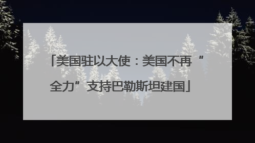 美国驻以大使：美国不再“全力”支持巴勒斯坦建国