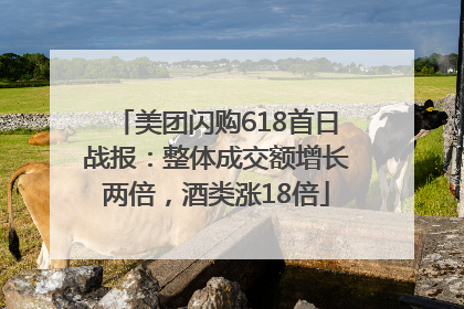 美团闪购618首日战报：整体成交额增长两倍，酒类涨18倍