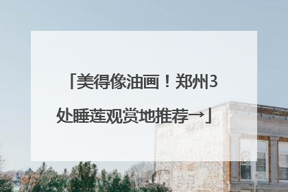 美得像油画！郑州3处睡莲观赏地推荐→