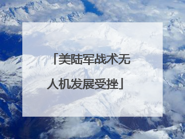 美陆军战术无人机发展受挫