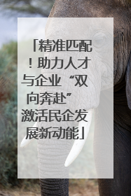 精准匹配！助力人才与企业“双向奔赴” 激活民企发展新动能