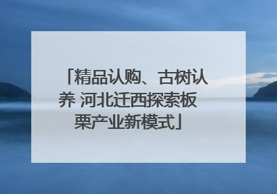 精品认购、古树认养 河北迁西探索板栗产业新模式