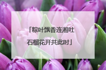 粽叶飘香连湘吐 石榴花开共此时