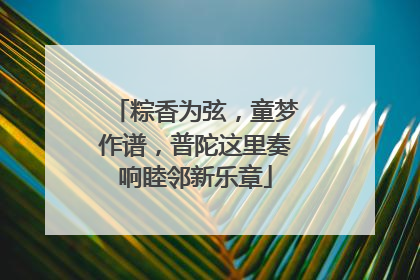 粽香为弦，童梦作谱，普陀这里奏响睦邻新乐章
