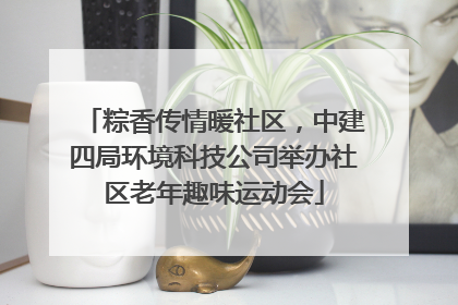 粽香传情暖社区，中建四局环境科技公司举办社区老年趣味运动会