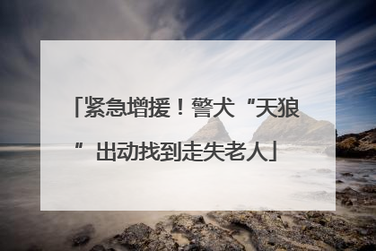 紧急增援！警犬“天狼”出动找到走失老人