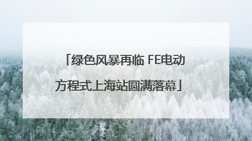 绿色风暴再临 FE电动方程式上海站圆满落幕