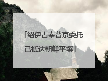 绍伊古奉普京委托已抵达朝鲜平壤