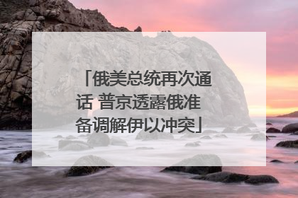 俄美总统再次通话 普京透露俄准备调解伊以冲突