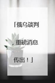 俄乌谈判，重磅消息传出！