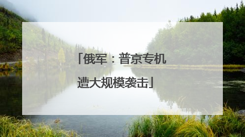 俄军：普京专机遭大规模袭击