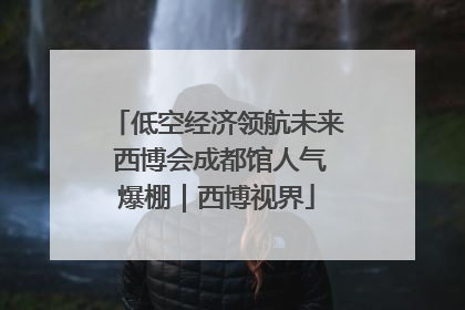 低空经济领航未来 西博会成都馆人气爆棚｜西博视界