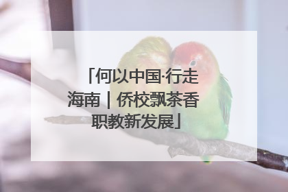何以中国·行走海南｜侨校飘茶香 职教新发展