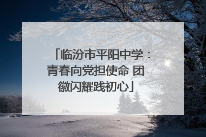 临汾市平阳中学：青春向党担使命 团徽闪耀践初心