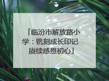 临汾市解放路小学：镌刻成长印记 赓续感恩初心