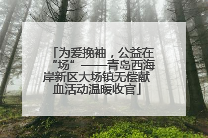 为爱挽袖，公益在“场”——青岛西海岸新区大场镇无偿献血活动温暖收官
