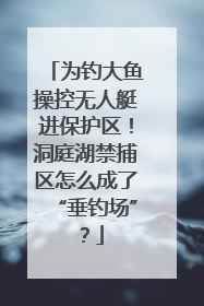 为钓大鱼操控无人艇进保护区！洞庭湖禁捕区怎么成了“垂钓场”？