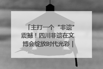 主打一个“非遗”震撼！四川非遗在文博会绽放时代光彩｜文博向“新”