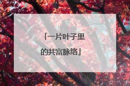 一片叶子里的共富脉络