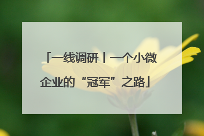 一线调研丨一个小微企业的“冠军”之路
