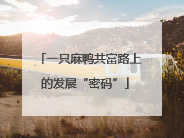 一只麻鸭共富路上的发展“密码”