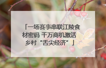 一场赛事串联江陵食材密码 千万商机激活乡村“舌尖经济”